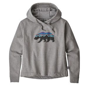 Patagonia hoodie - brand new without tags